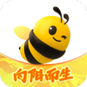 不是东詹里！湖人8连胜最大赢家是他！2年前被逼带伤出战跌入谷底